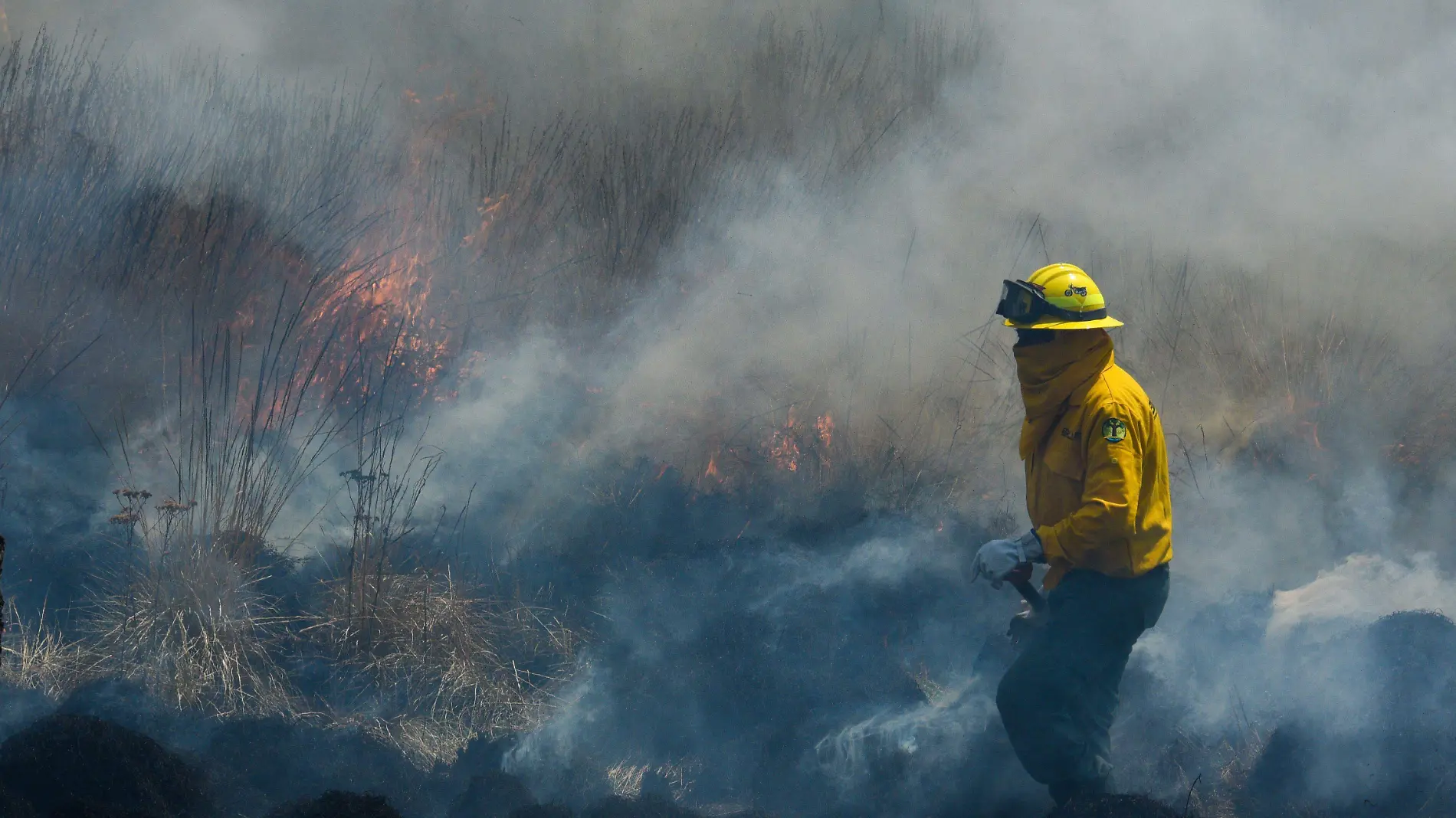 860291_Labores preventivas incendios forestales -9_impreso